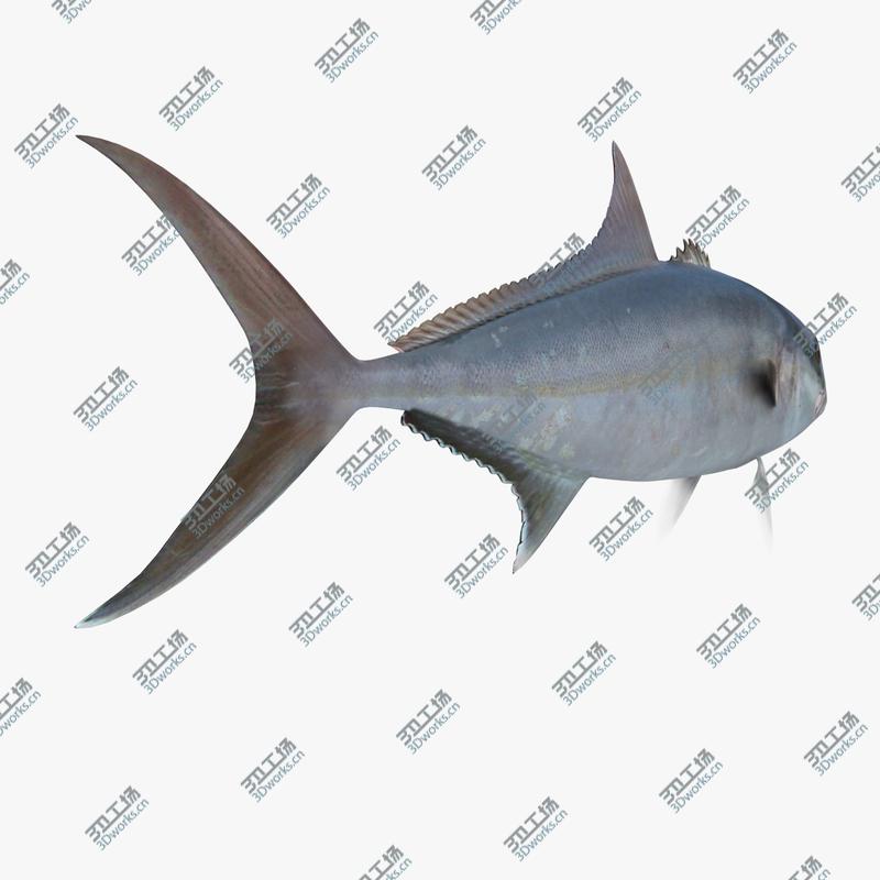 images/goods_img/20210114/Fish Megapack/5.jpg